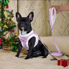 Didog Small Dog Harness and Leash Set, Winter Warm Dog Harness, No-Pull Adjustable Soft Padded Dog Vest for XS Small Sized Dogs (Purple, XS)