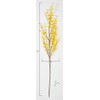 Worth Imports 57" Forsythia Stem