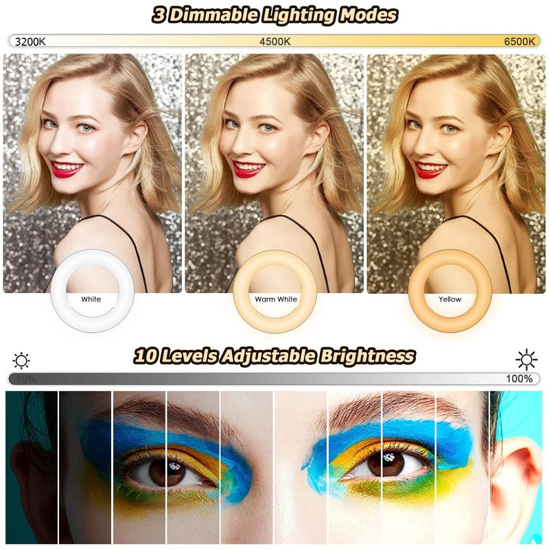 Video Conference Lighting Kit, Dveda Ring Light for Laptop Phone