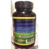 G.M.J NEW SELLADA PURA MORINGA ORGANICA CAPSULAS 60 100% HOJA