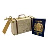 DIY Surprise Mini Suitcase & Mini GOLD effect Passport Reveal