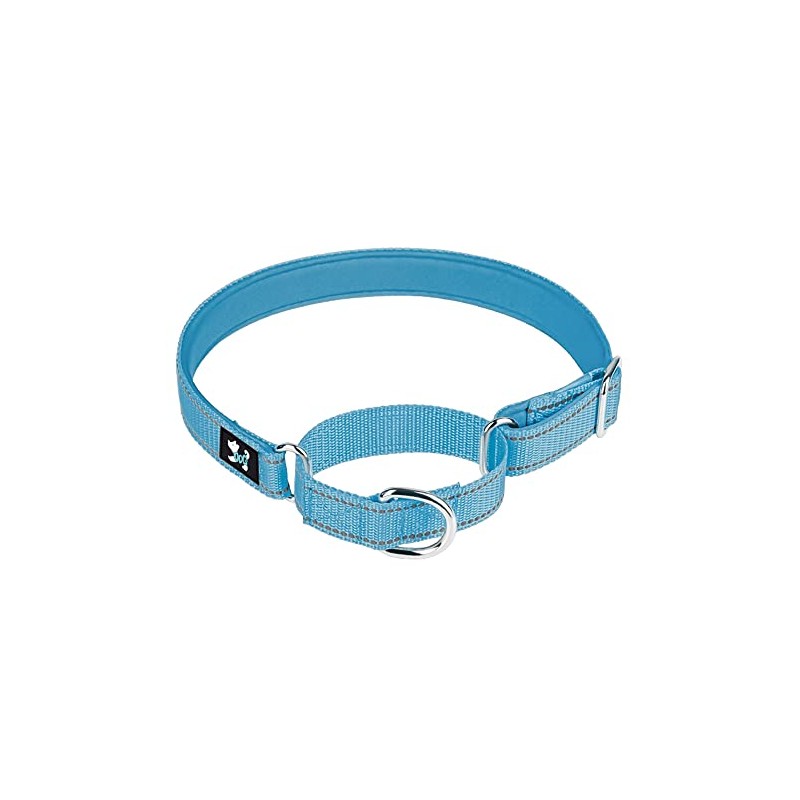 Serijoars Martingale Heavy Duty Nylon Dog Collar, Soft Neoprene Padded