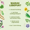 Lebepur Organic psyllium husks mix 500 g, cultures complex with