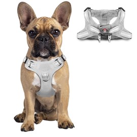 Dog Harness Step in Dog Vest Harness, Reflective Adjustable Puppy No Pull Harness Breathable Soft for Small and Medium Dogs Cats, Grey, S
