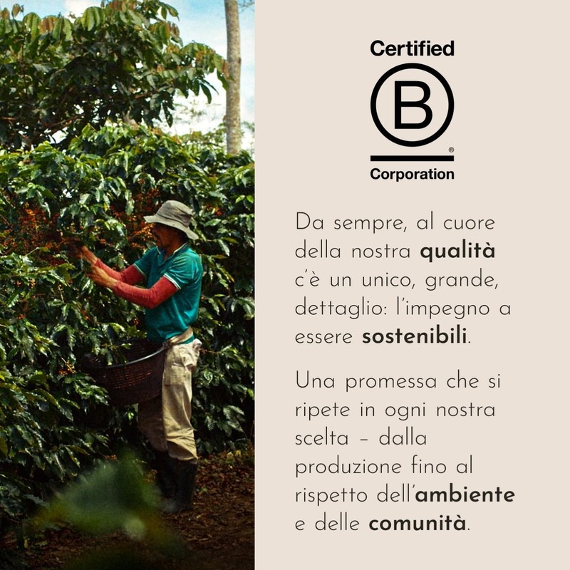 illy, Caffè in Capsule Iperespresso CLASSICO, 100% Arabica con Note
