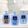 Felce Azzurra Flüssigseife Classico - Seifenspender mit traditionellen klassischen Duft