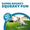 Outward Hound Squeaker Ballz – Squeaky Tiny Tennis Balls for