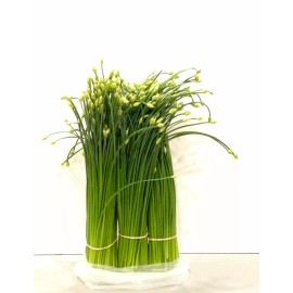 Garlic Chives 30+ Live Plant Bare Root Hardy Perennial Herb Organic NON-GMO