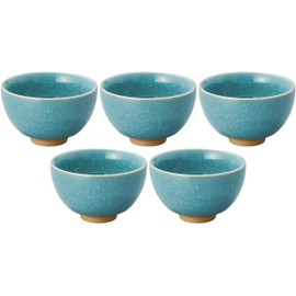Set of 5 Turkish Nukushi Round Green Tea [3.6 x 2.2 x 2.2 inches (9.2 x 5.7 cm), 6.9 fl oz (170 cc)] | Sencha