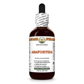 Asafoetida (Ferula Assa-foetida) Dry Herb Glycerite, Made in Hawaii, Raw Materials, All Natural, Vegan, Lab Tested Alcohol-Free Liquid Extract - 2 fl.oz