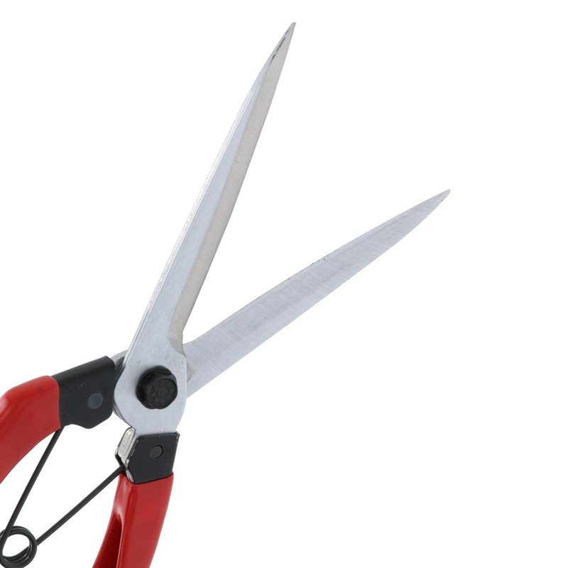 Takagi Sunflower Factory x TAKAGI Leaf Cutting Shears, 8.9 inches