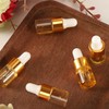 Dyrfolm 100 Pcs Sample Dropper Bottles, 2 ml Mini Glass