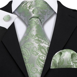 Barry.Wang Men Tie Set Paisley Sage Green Silk Necktie Pocket Square Cufflinks Formal Wedding Party Business