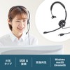 Sanwa Supply MM-HSU19BK USB Headset