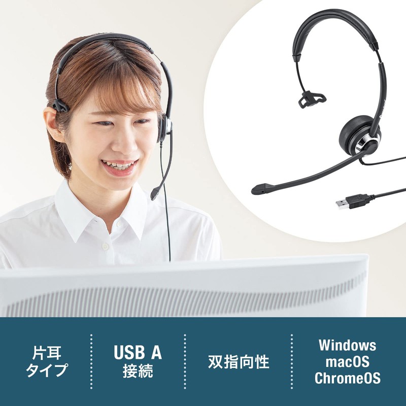Sanwa Supply MM-HSU19BK USB Headset
