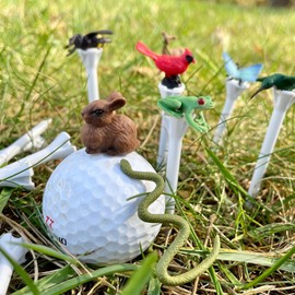 Safari Ltd. Good Luck Minis Backyard Fun Pack – Mini Figurines Including Rabbit, Frog, Butterfly, Snake, Doe, Cardinal, Honey Bee, Hummingbird – Educational Toy Figures for Boys, Girls & Kids Ages 5+