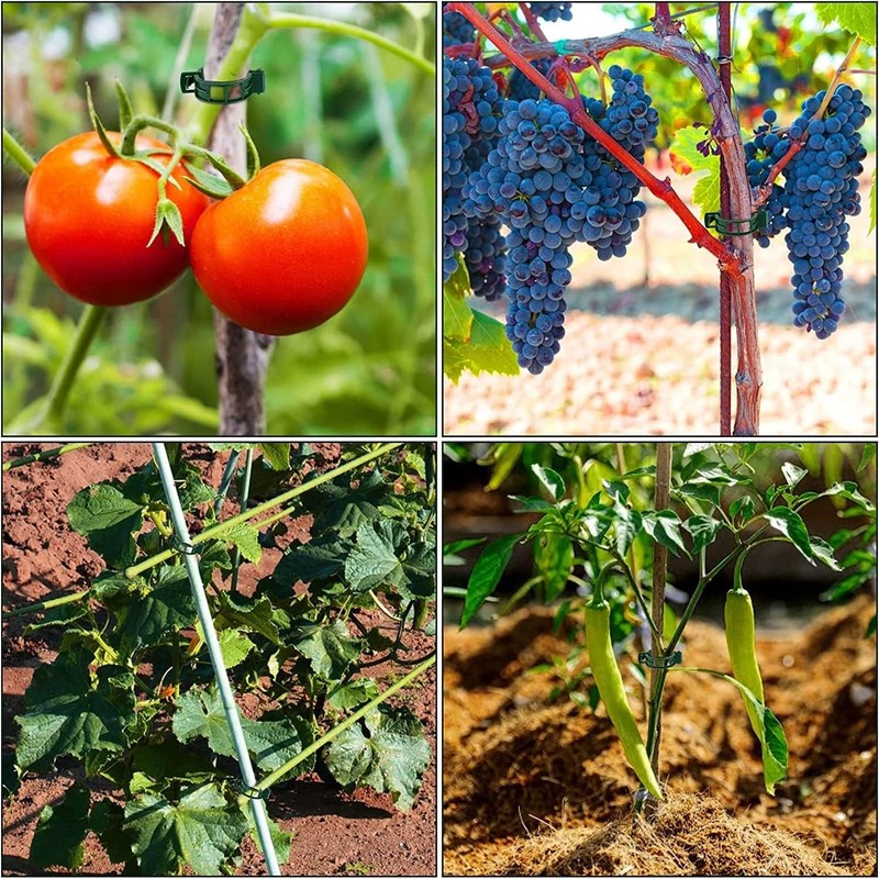 200 pcs Pinza de plástico para Plantas, Soporte de Plantas