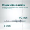 Horiznext 1/2 x 6 inch Carbon Steel Wedge Anchor kit