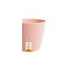 Zanvic Splofy 2 Model Pot, Peach, 16 cm