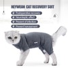 Cat Recovery Suit 4 Legged Prevents Hair Loss Highly Elastic