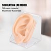 Soft Silicone Ear Model Simulation Ear Acupuncture Practice Model for