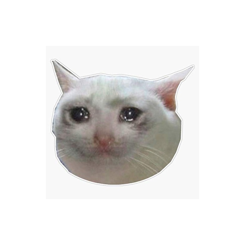 Cat Crying Meme Waterproof Vinyl Window Bumper Sticker Decal 5"