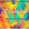 Premium Violin Strings 4/4 Goldstein