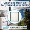 HQRP 2-Pack Filter Kit Compatible with Alexapure Breeze 3049 AP-B102