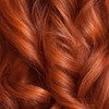 Ion 4R Medium Red Brown Permanent Creme Hair Color 4R