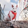 Hurtta Weekend Warrior ECO Dog Harness, Rose Hip, 39-47"