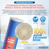 20" BB Anion Resin Filter for Tannin + Nitrate Reduction