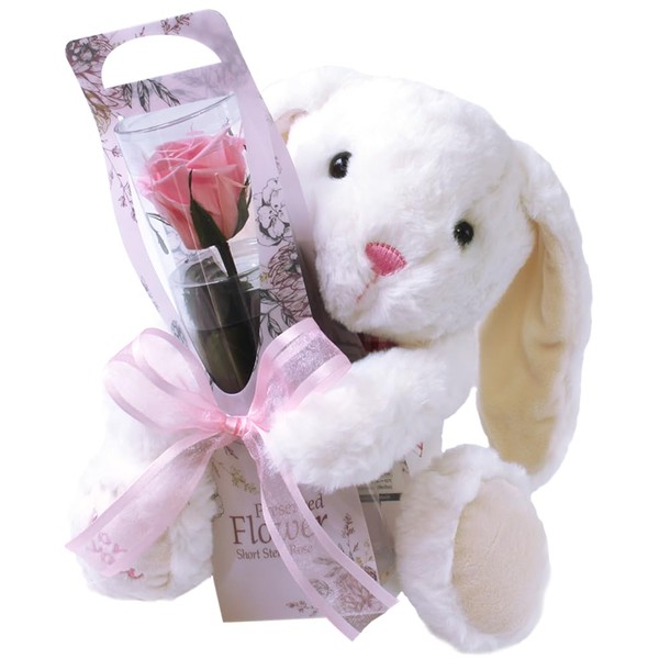 Preserved Flower (Bunny and One Rose / Pink) Gift, Celebration, [Anniversaries, Birthdays], Arrangement