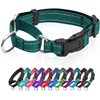 Collares reflectantes para perro de martingala. Collar para perro con