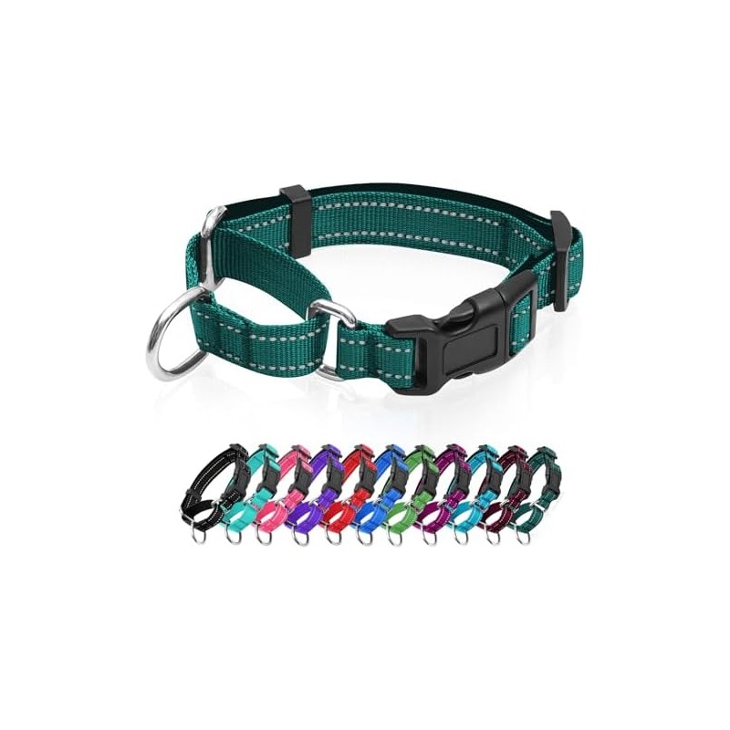 Collares reflectantes para perro de martingala. Collar para perro con