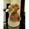 Kremers Schatzkiste Polyresin Money Box for Visiting the Veterinarian or