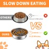 2-in-1 Metal Dog Bowl with Slow Feeder Insert, Stainless Steel