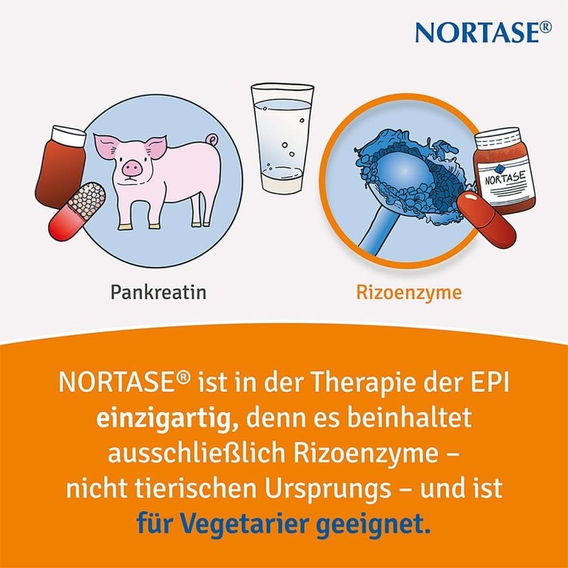 NORTASE Capsules Pack of 200