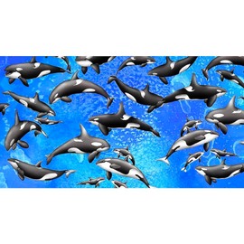 CafePress Orca License Plate Holder Aluminum License Plate Frame, License Tag Holder