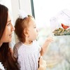 ValueHall Window Bird Feeder Window Bird House Crystal Clear Acrylic