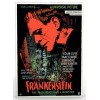 Mondo Games Frankenstein 1000 Piece Jigsaw Puzzle MONDO NEW &