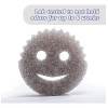 Scrub Daddy Sponge -style Collection- Scratch-free Scrubber
