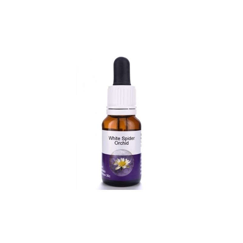 Living Essences White Spider 15ml