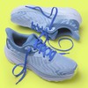 Miscly Flat Shoelaces - Various Lengths and Colours Available, royal