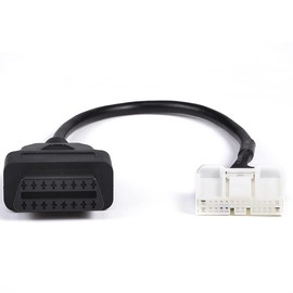 LoongGate Diagnostic Port auf OBD II 16 Pin Diagnosetor Adapter Anschlusskabel für Modell 3/Y (26P)