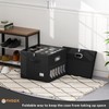 2 Pack Shoe Organizer for Closet Large Shoe Box Storage