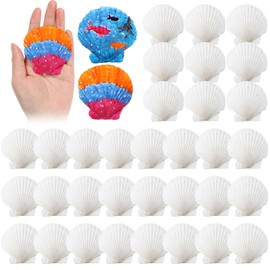 GlikCeil 50 Pcs Sea Shell for Crafting Natural Large Scallop White Oyster Shells Bulk for Decorating DIY Home Decor Beach Wedding Ocean Themed Party(2''-3'')