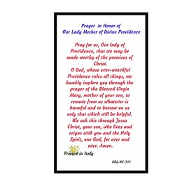 Blessed By His Holiness Pope Francis Our Lady Mother of Divine Providence Laminated Holy Card