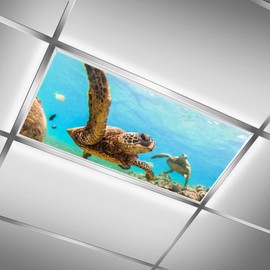 2 Pack Fluorescent Light Cover for Ceiling Light Classroom-Sea Turtle Magnetic Light Cover Fluorescent Light Shade Panel, Decorative Film Filter for Reducing Harsh Glare Home Decorations