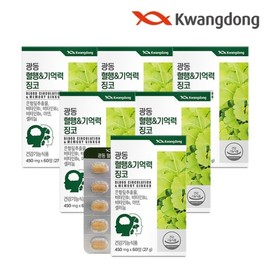 혈행기억력 징코 60정 6박스12개월분) 은행잎추출물 비타민B Ginkgo for Blood Circulation and Memory 60 Tablets (6 Boxes, 12-Month Supply) Ginkgo Leaf Extract, Vitamin B