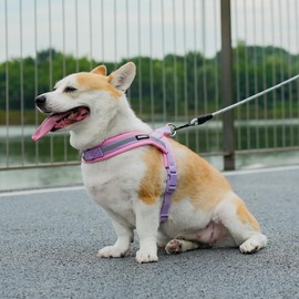 AIITLE No Pull Dog Harness with Soft Padded Handle, Adjustable Reflective Escape Proof/Quick Fit Pet Harnesses, Easy for Training Walking Runnintg for Large Dogs Purple-Pink L